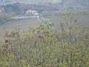 View from Church of St Joseph overlook 6.jpg